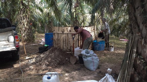 kompos pelepah sawit promi