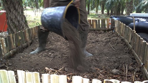 kompos pelepah sawit promi