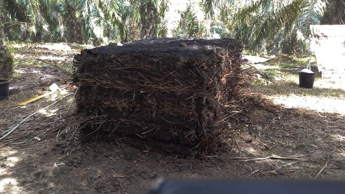 kompos pelepah sawit promi