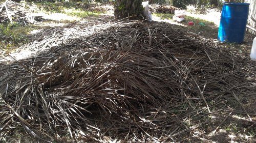 kompos pelepah sawit promi