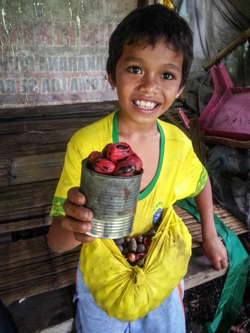 anak tobelo Halmahera Utara pala