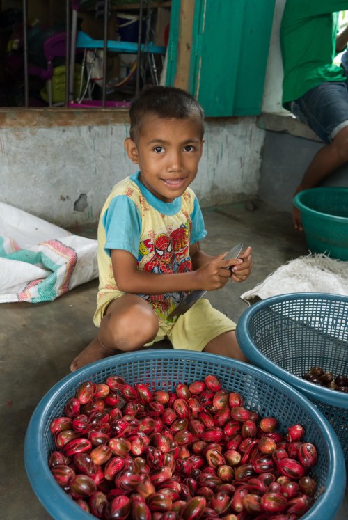 anak tobelo Halmahera Utara pala
