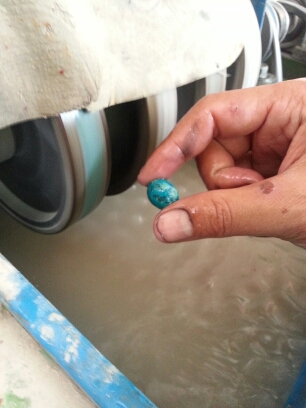 20150628_114037.jpg image