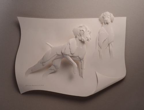 10425087_305039339663581_6004420459216843377_n