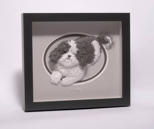 10943108_422512167916297_2684958602911553098_n