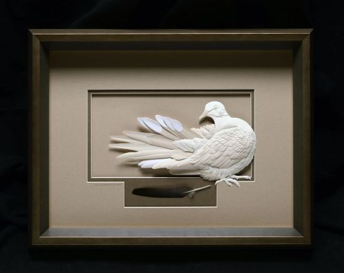 1404424_228100967357419_1046118506_o