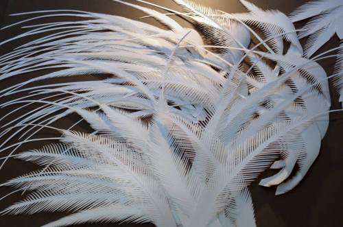 1507934_269663659867816_485485306_n