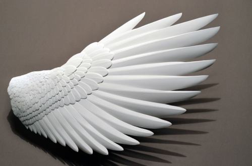 1606507_269663699867812_269958_o