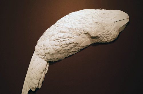 1939852_272688816231967_567149089_o