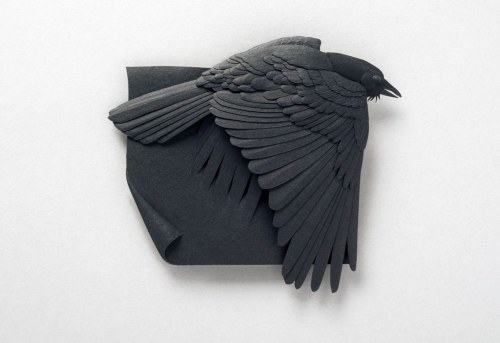 738397_228099564024226_2111766488_o