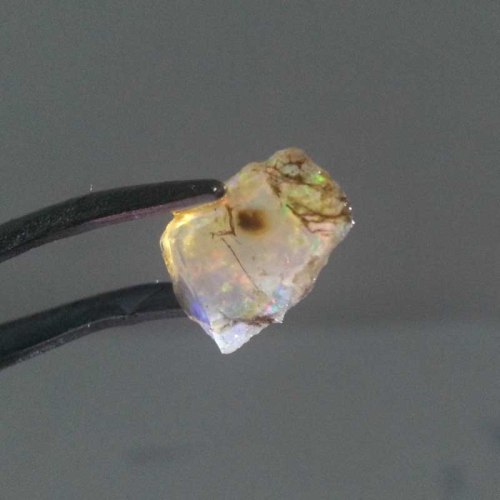 Bahan kalimaya teh yang sudah keluar jarongnya.