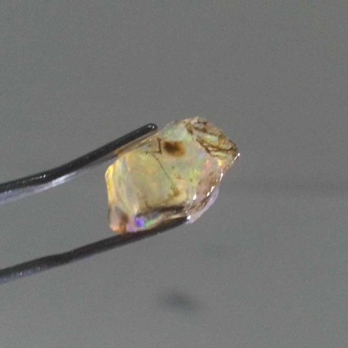 Bahan kalimaya teh yang sudah keluar jarongnya.