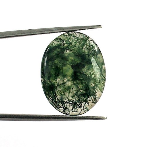 il570xN636273900fnef