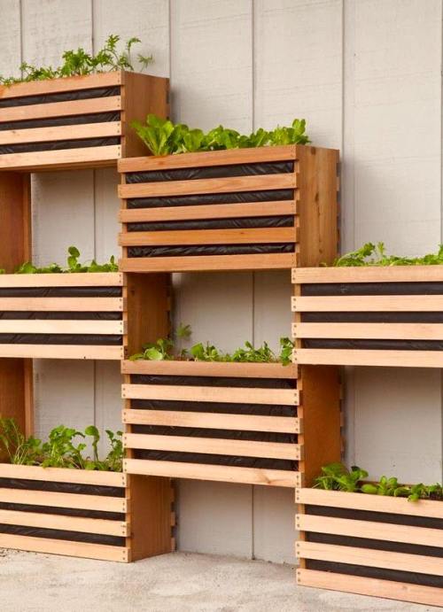 10846113_548247425332162_7668363682392743394_n (1)