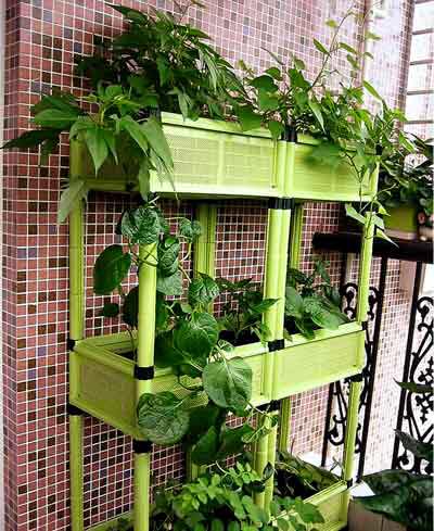 10891590_548249555331949_1181390950376019049_n