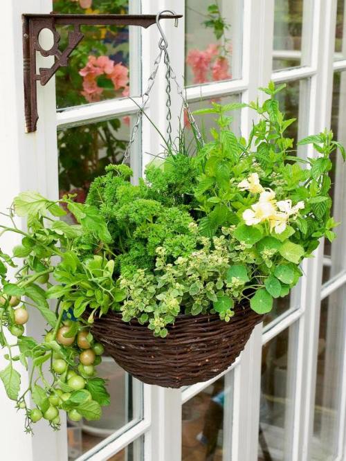 11217584_548249395331965_135441872081035511_n (1)