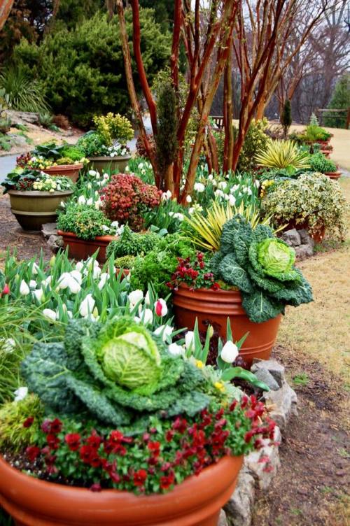 11990598_548249471998624_4699038162283805171_n