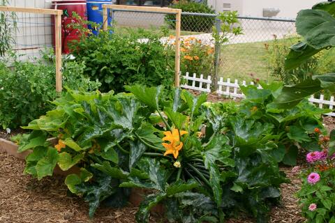 12096490_548248938665344_4533151793637611182_n