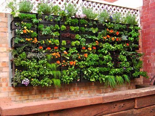 12109082_548248075332097_4167804623829581143_n