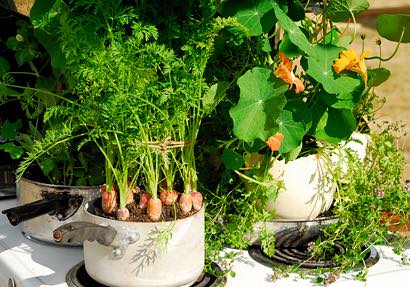 12112355_548249301998641_5989592093994162212_n