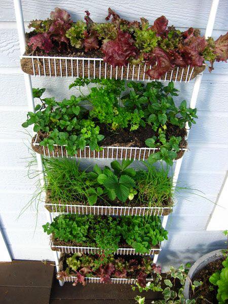 12143195_548248638665374_4496851743650298594_n