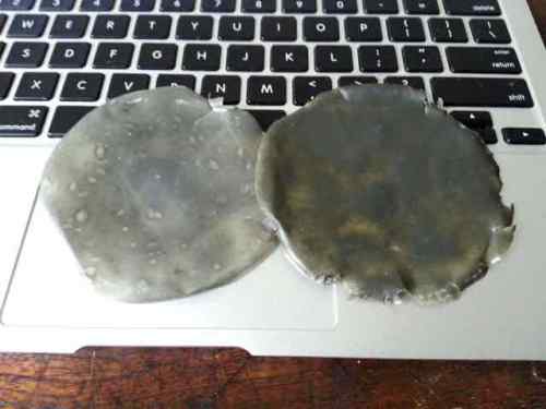 Prototipe awal bioplastik selulosa