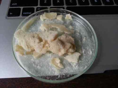 Prototipe bioplastik yang gagal.