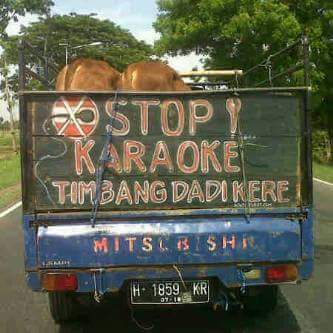 status lucu di bak truk