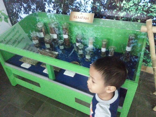 Museum Etnobotany Bogor, Herbarium Bogoriensis.