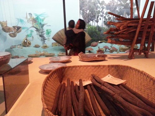 Museum Etnobotany Bogor, Herbarium Bogoriensis.