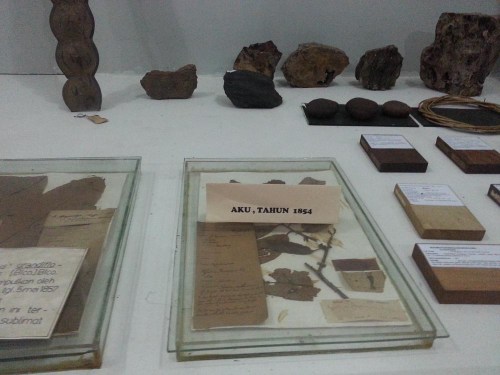 Museum Etnobotany Bogor, Herbarium Bogoriensis.