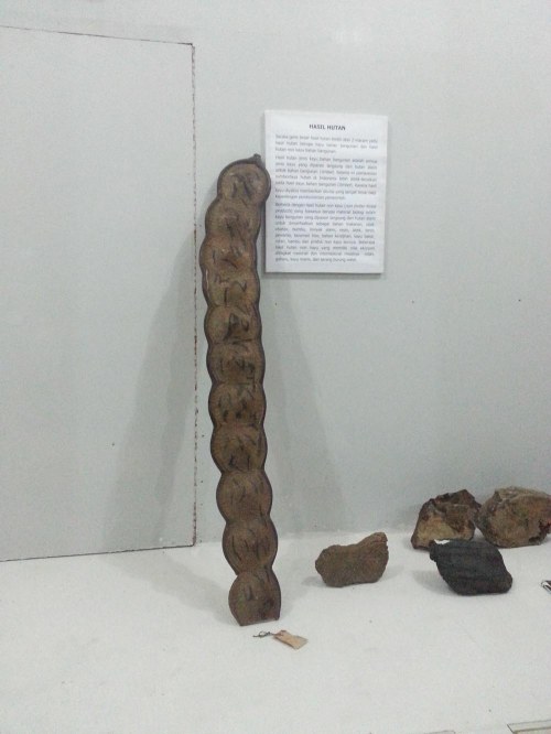 Museum Etnobotany Bogor, Herbarium Bogoriensis.