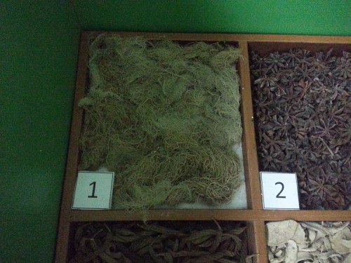Museum Etnobotany Bogor, Herbarium Bogoriensis.