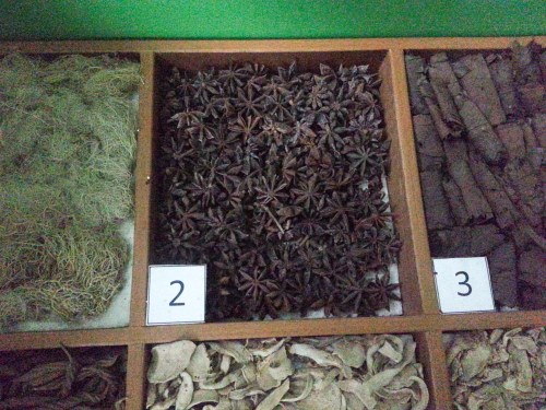 Museum Etnobotany Bogor, Herbarium Bogoriensis.