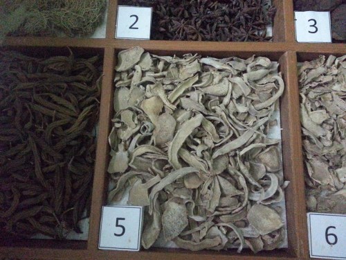 Museum Etnobotany Bogor, Herbarium Bogoriensis.