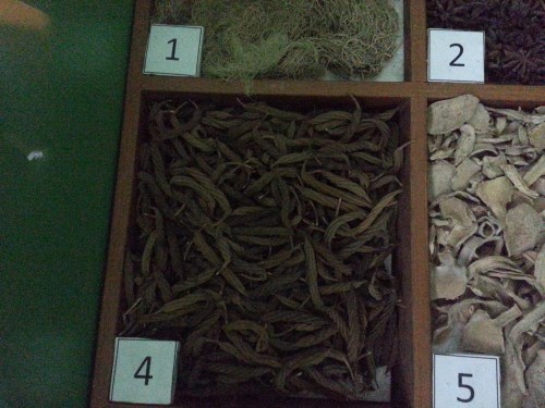 Museum Etnobotany Bogor, Herbarium Bogoriensis.