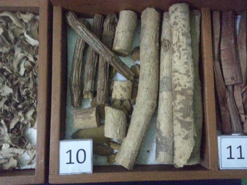 Museum Etnobotany Bogor, Herbarium Bogoriensis.