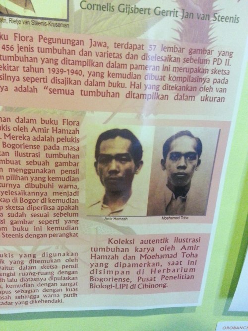 Museum Etnobotany Bogor, Herbarium Bogoriensis.