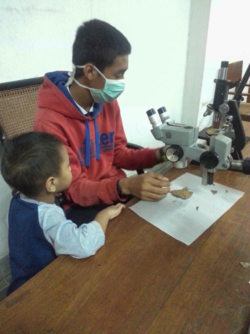 Museum Etnobotany Bogor, Herbarium Bogoriensis.