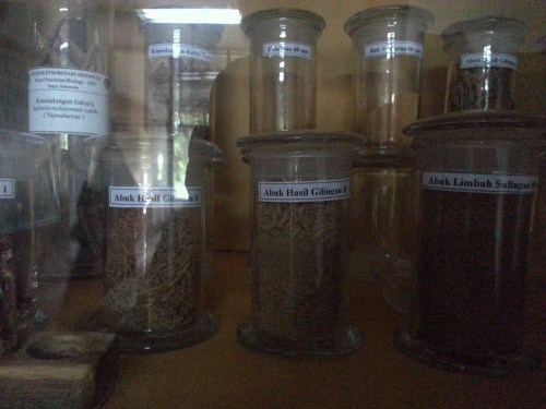 Museum Etnobotany Bogor, Herbarium Bogoriensis.