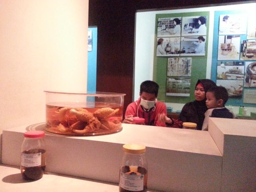 Museum Etnobotany Bogor, Herbarium Bogoriensis.