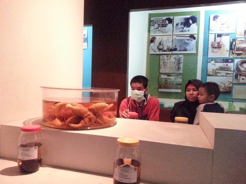 Museum Etnobotany Bogor, Herbarium Bogoriensis.