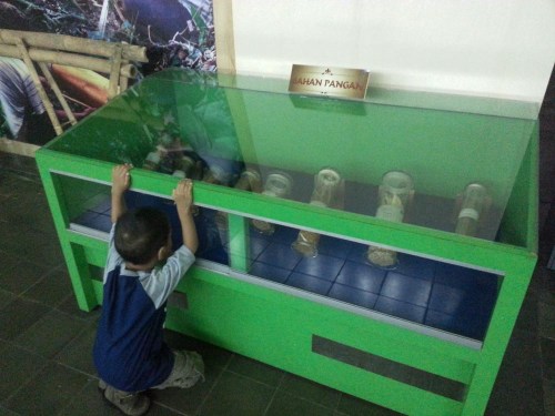 Museum Etnobotany Bogor, Herbarium Bogoriensis.