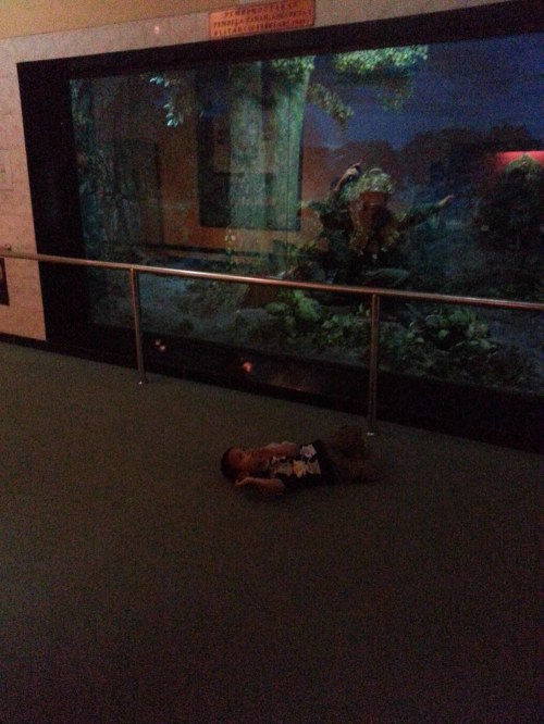 Museum Tentara PETA Bogor