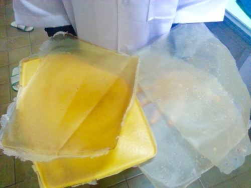 Bioplastik dari tankos sawit