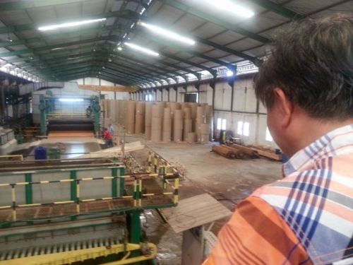 pabrik pulp tankos sawit