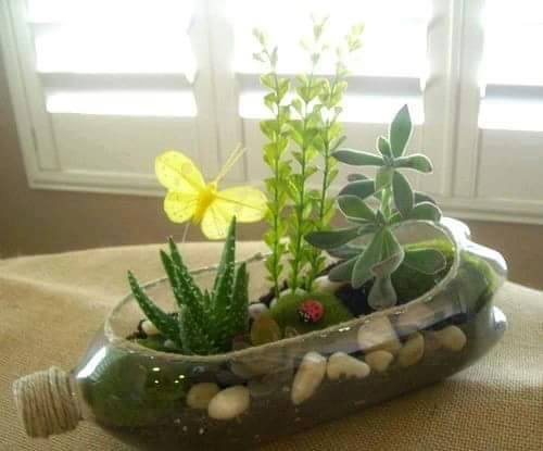 Kreasi pot tanaman dari botol plastik bekas. 