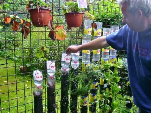 vertikal garden dari botol bekas
