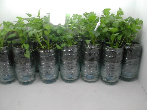 6a00e39824809288330111684d8ee4970c