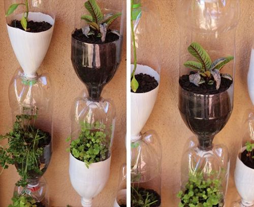 vertikal garden dari botol bekas